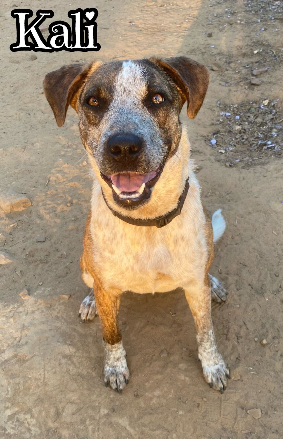 Kali